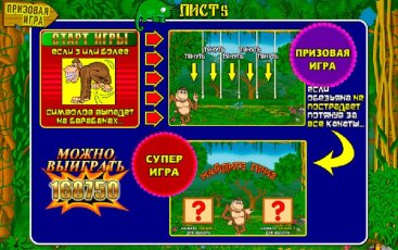 Бонусная игра игрового аппарата Crazy Monkey